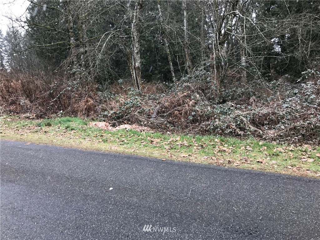 15521 206th Avenue Southeast Renton, WA 98059 - Photo 5 of 8