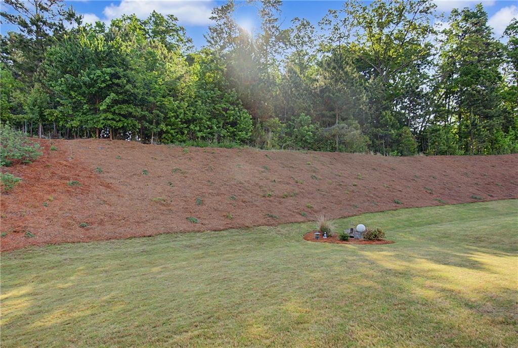 950 Summit Drive Canton, GA 30114 - Photo 43 of 55