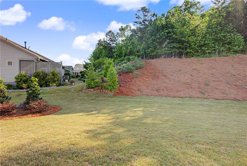950 Summit Drive Canton, GA 30114 - Photo 44 of 55