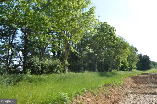 a view of a lush green space
