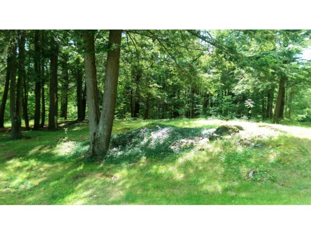 806 Millpond Road Wells, VT 05774 - Photo 20 of 21 Gallery Image 20