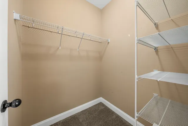 a front view of a house with a garden and plants