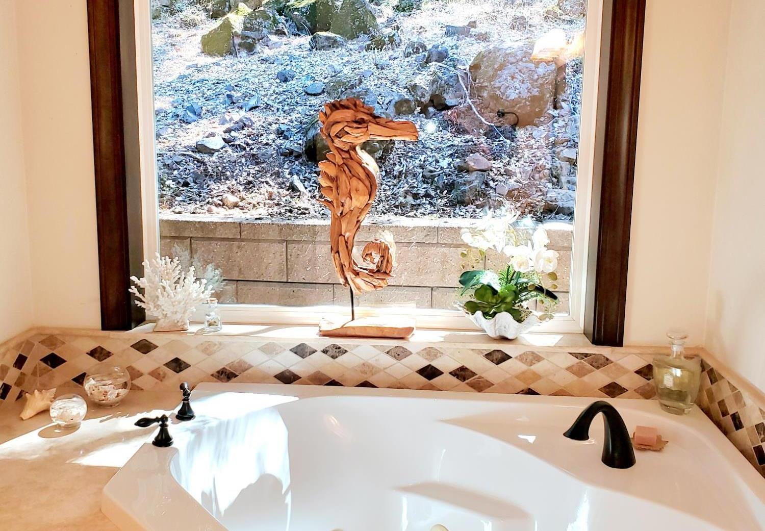 1440 Dog Bar Road Colfax, CA 95713 - Photo 30 of 93 Master full bath with a jetted tub and private forest view.