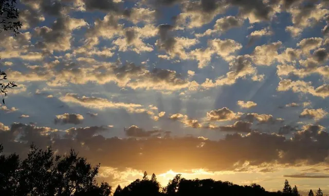 $1,125,000 | 1440 Dog Bar Road, Colfax, CA 95713