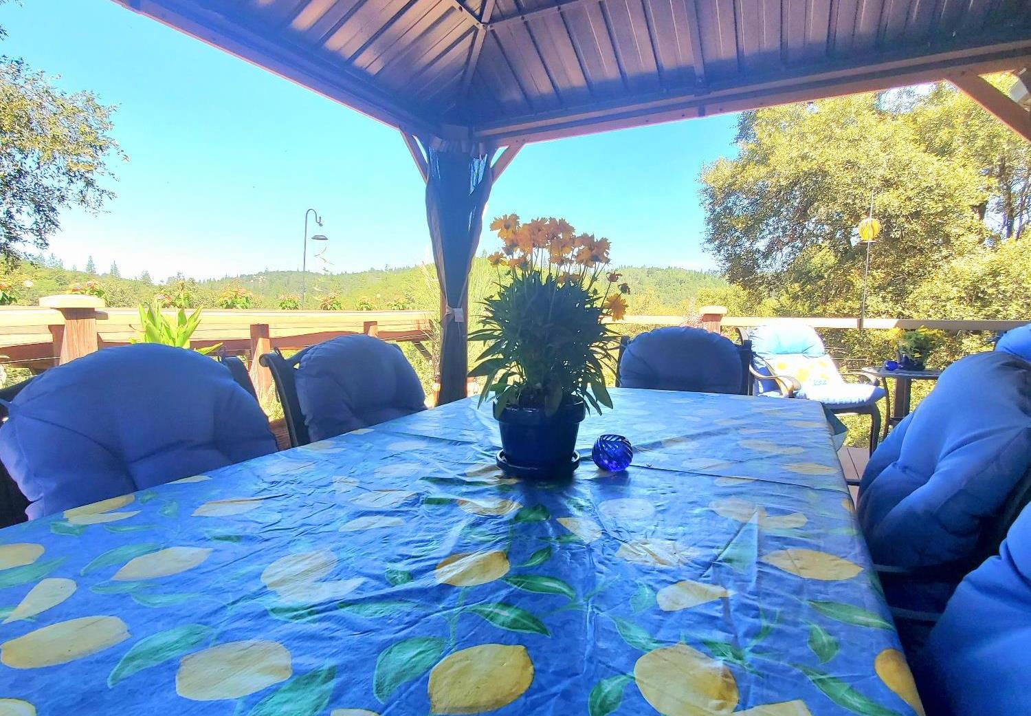 1440 Dog Bar Road Colfax, CA 95713 - Photo 41 of 93