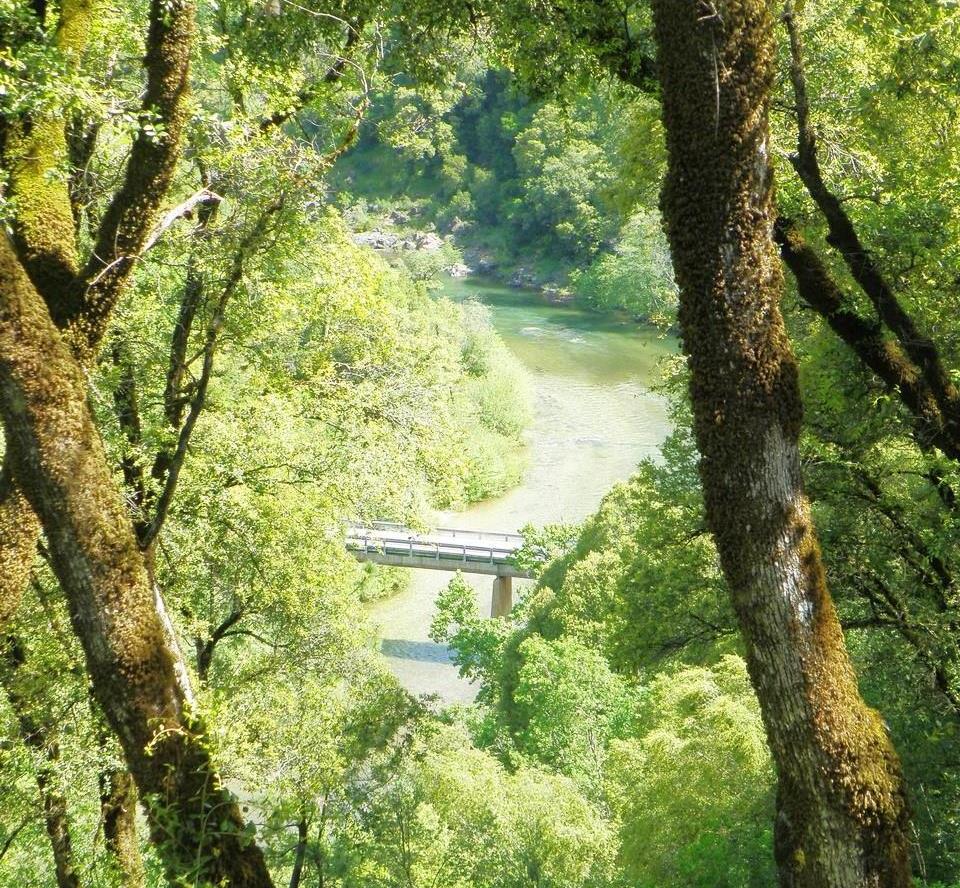 1440 Dog Bar Road Colfax, CA 95713 - Photo 44 of 93 View Of The Bear River