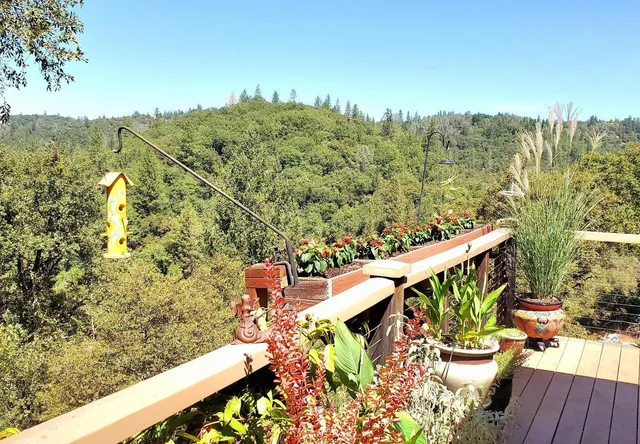 $1,125,000 | 1440 Dog Bar Road, Colfax, CA 95713