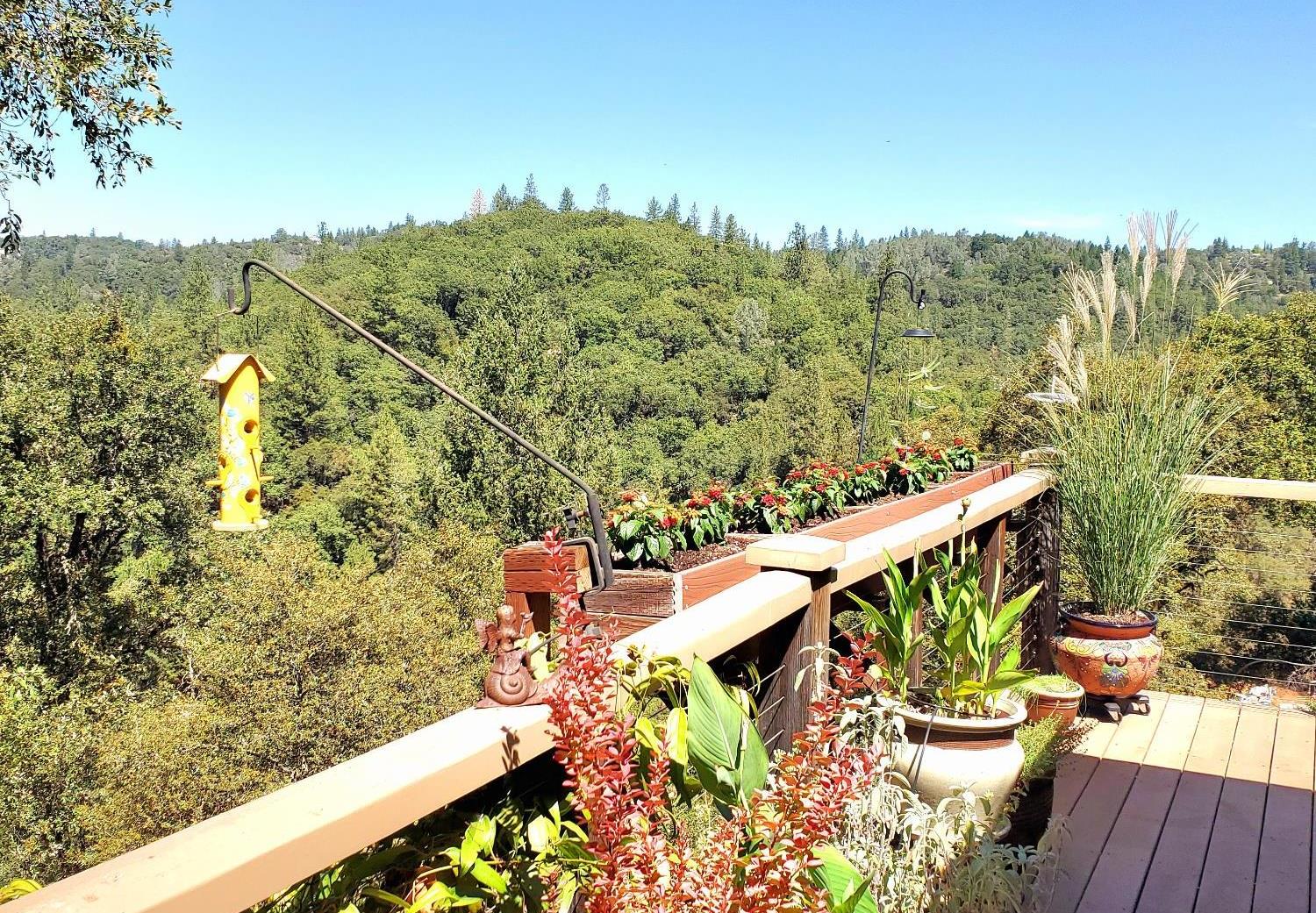 1440 Dog Bar Road Colfax, CA 95713 - Photo 48 of 93