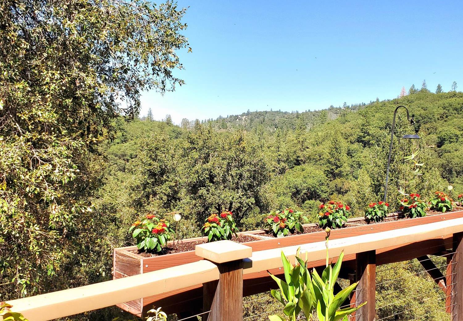 1440 Dog Bar Road Colfax, CA 95713 - Photo 49 of 93