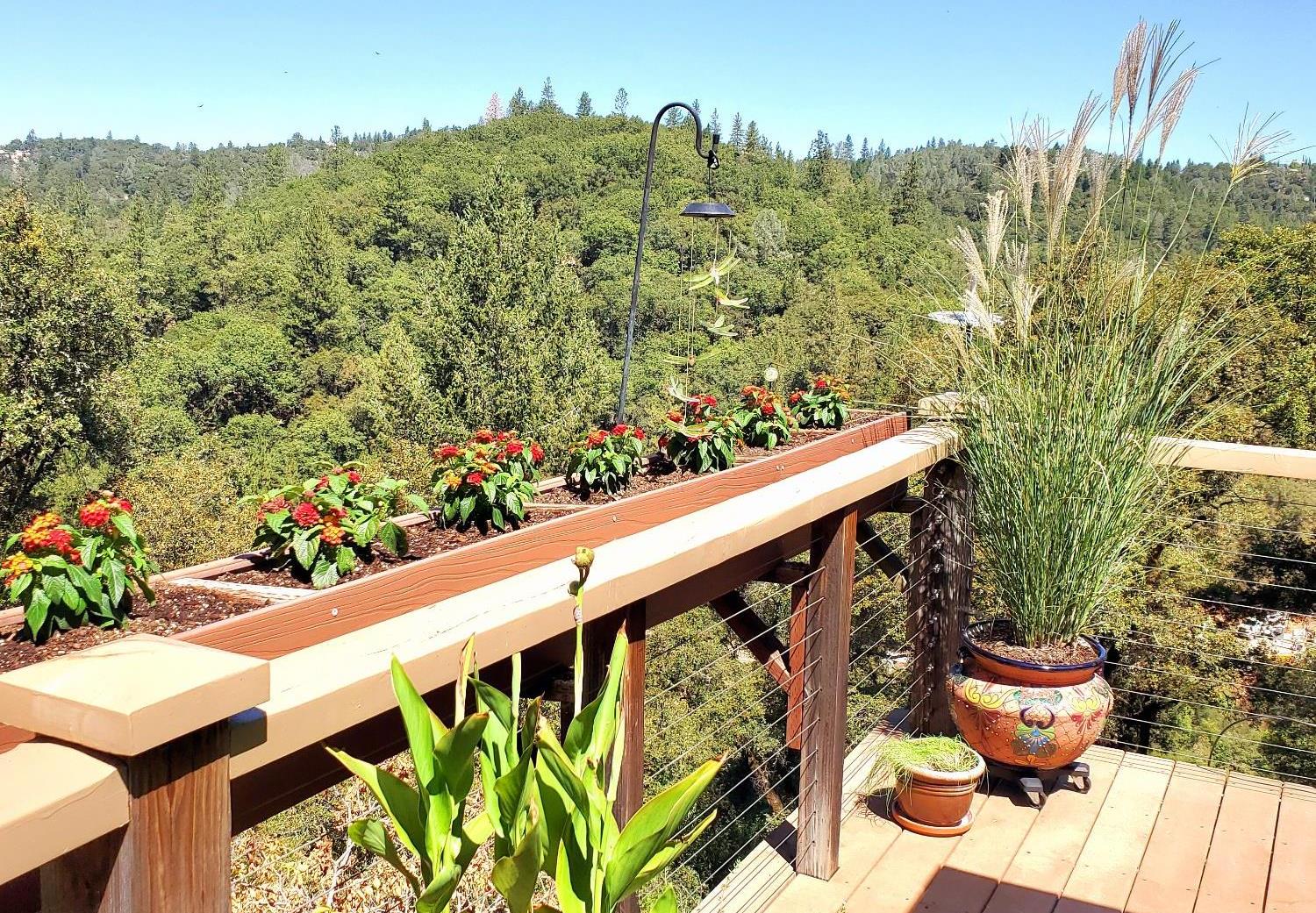 1440 Dog Bar Road Colfax, CA 95713 - Photo 51 of 93