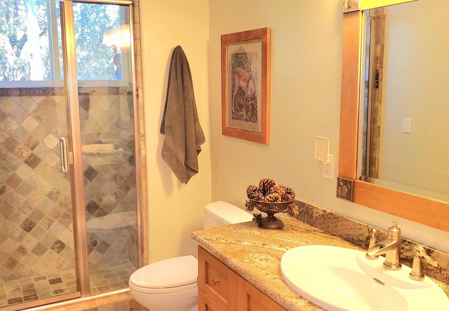 1440 Dog Bar Road Colfax, CA 95713 - Photo 58 of 93 Guest full bath featuring a tile shower stall, vanity, and light tile patterned floors. Private forest view.