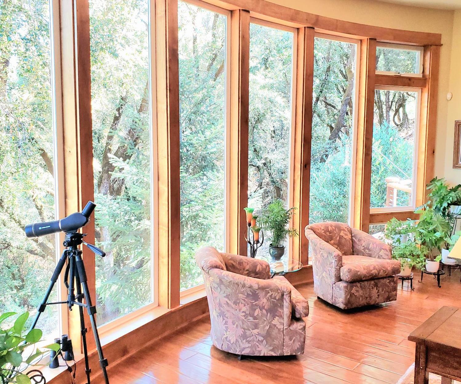 1440 Dog Bar Road Colfax, CA 95713 - Photo 10 of 93 The row of custom convex curved, floor to ceiling windows pull sunlight into the Living Room. Abundant mountain views.