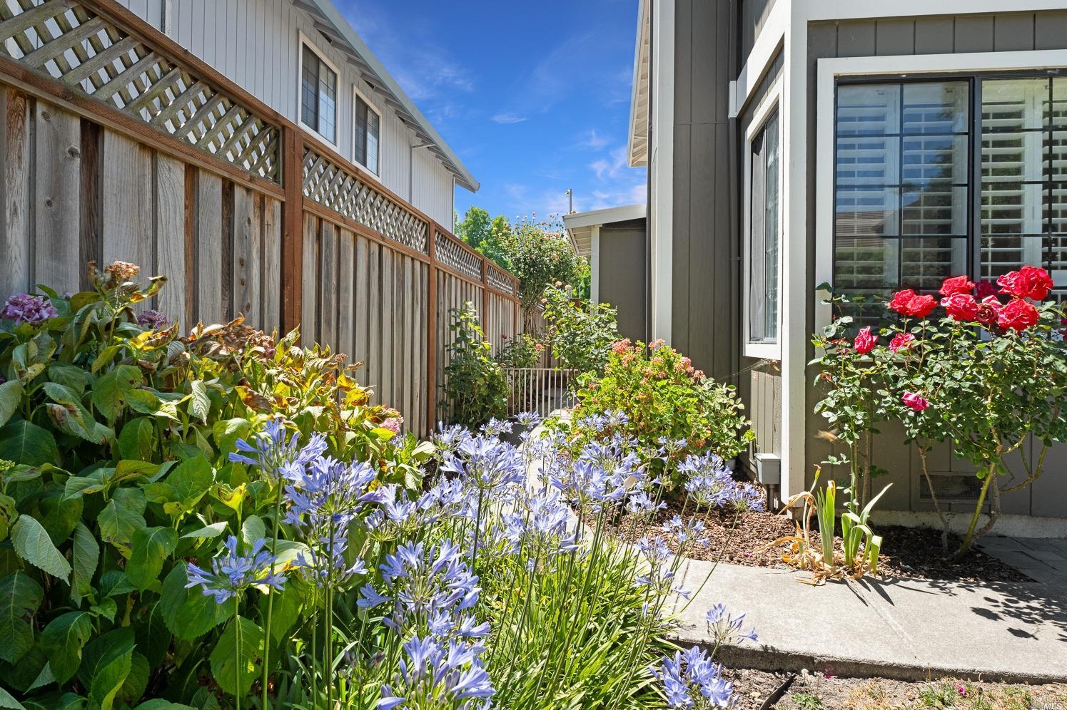 7216 Roxanne Lane Rohnert Park, CA 94928 - Photo 37 of 40