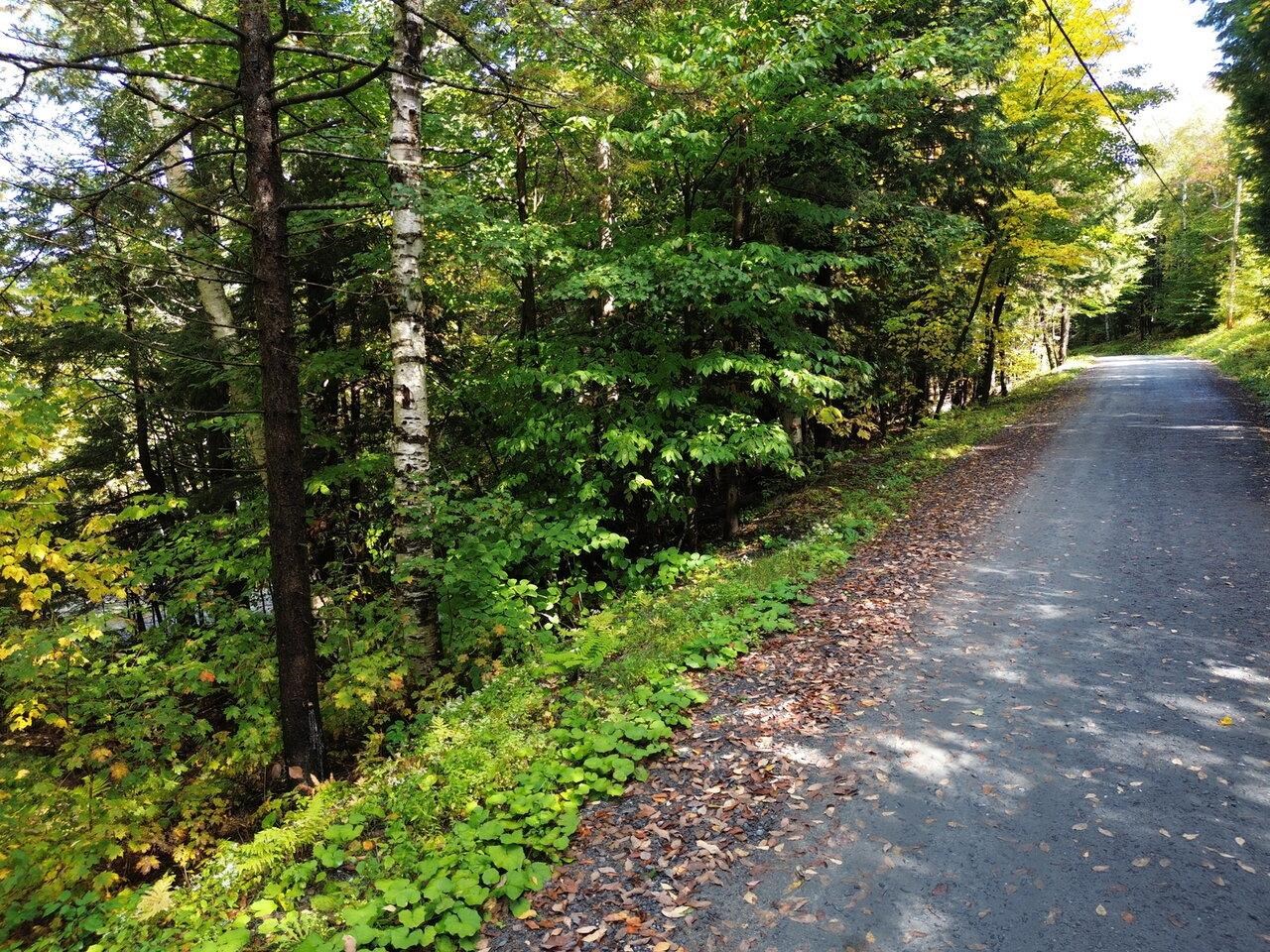 350 Anne Burns Road, Unit 19 & 20 Warren, VT 05674 - Photo 10 of 13