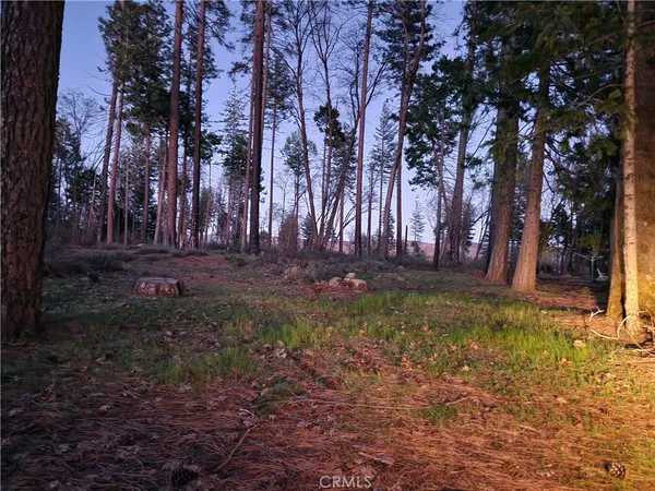 a view of outdoor space with trees