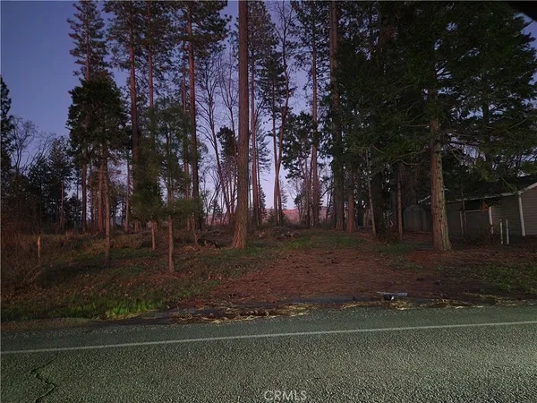 a view of a yard with tree s