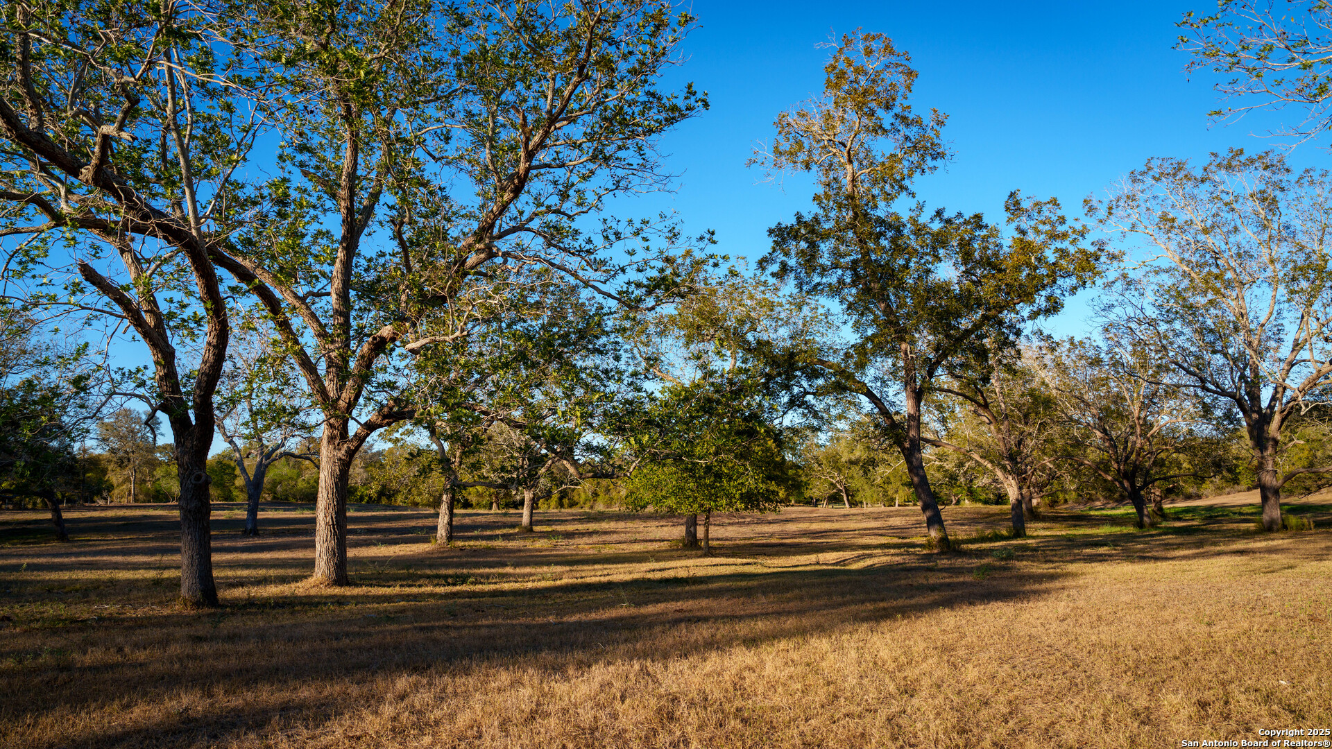 380 Clinton Road Cuero, TX 77954 - Photo 18 of 22