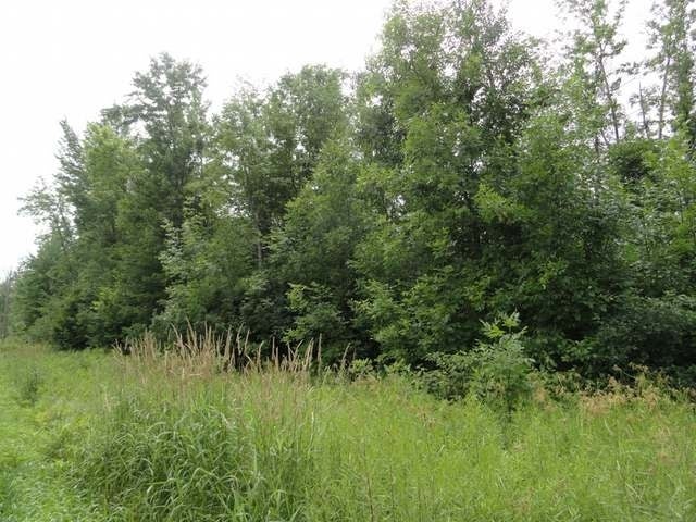 10-acres Keith Siding Road Crandon, WI 54520 - Photo 7 of 8 Gallery Image 7