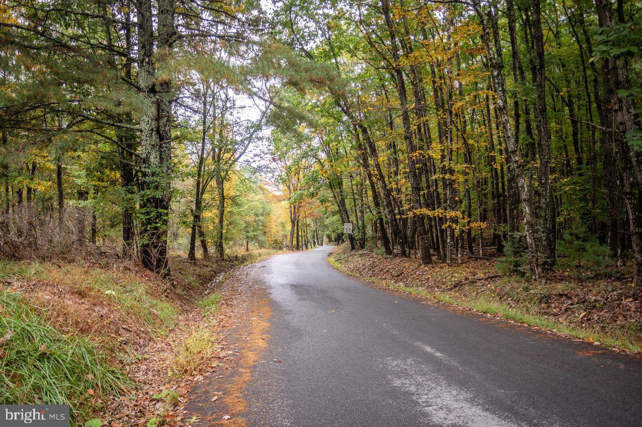 0 Dry Run Road Brandywine, WV 26802 - Photo 2 of 33