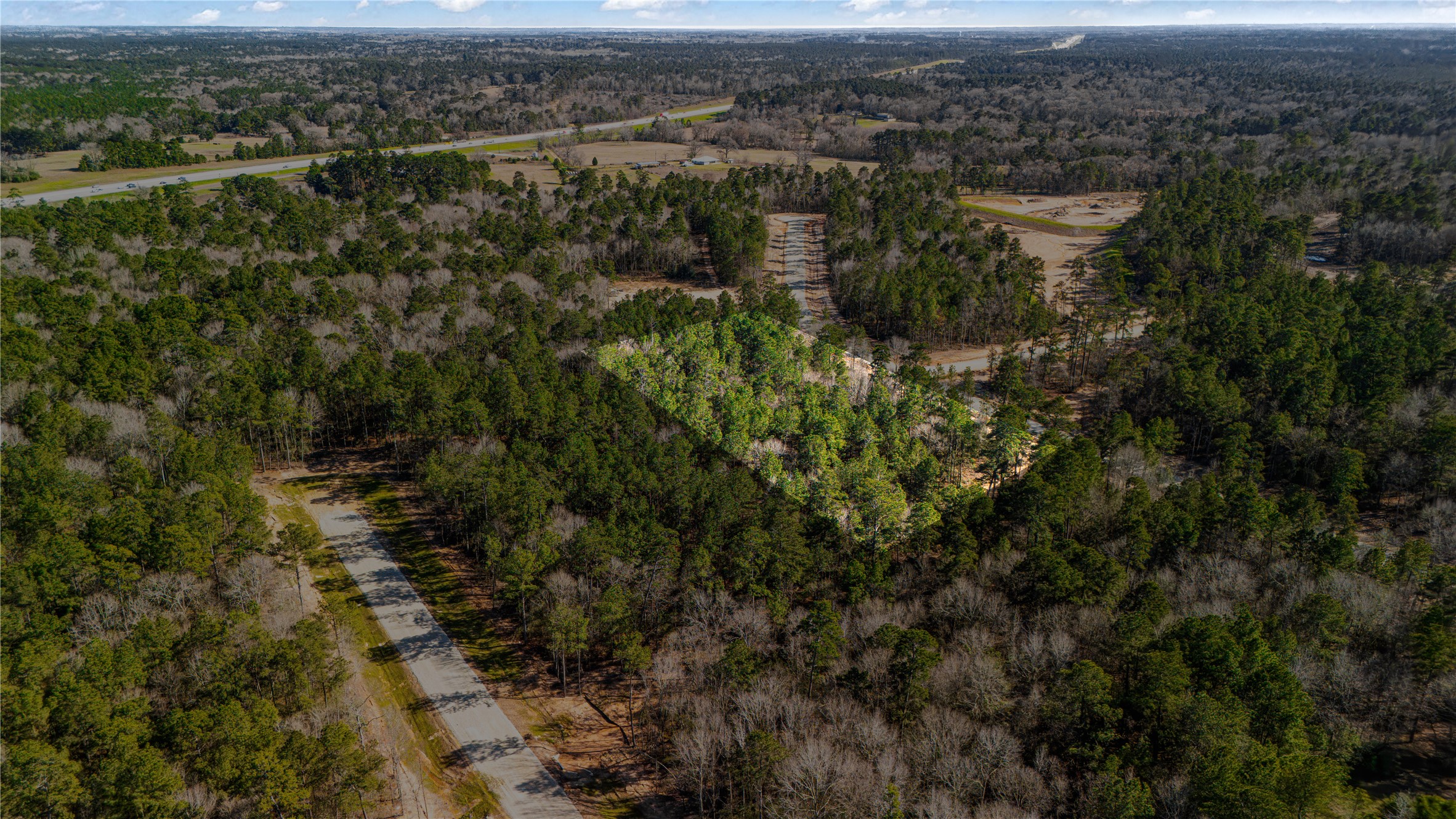 129 Bunkhouse Road New Waverly, TX 77358 - Photo 4 of 8