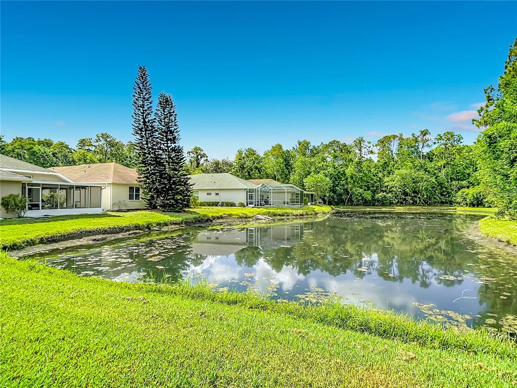7828 Craighurst Loop New Port Richey, FL 34655 - Photo 48 of 57