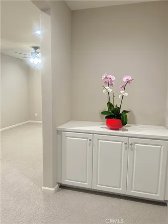 a bathroom with a sink a vanity and a potted plant