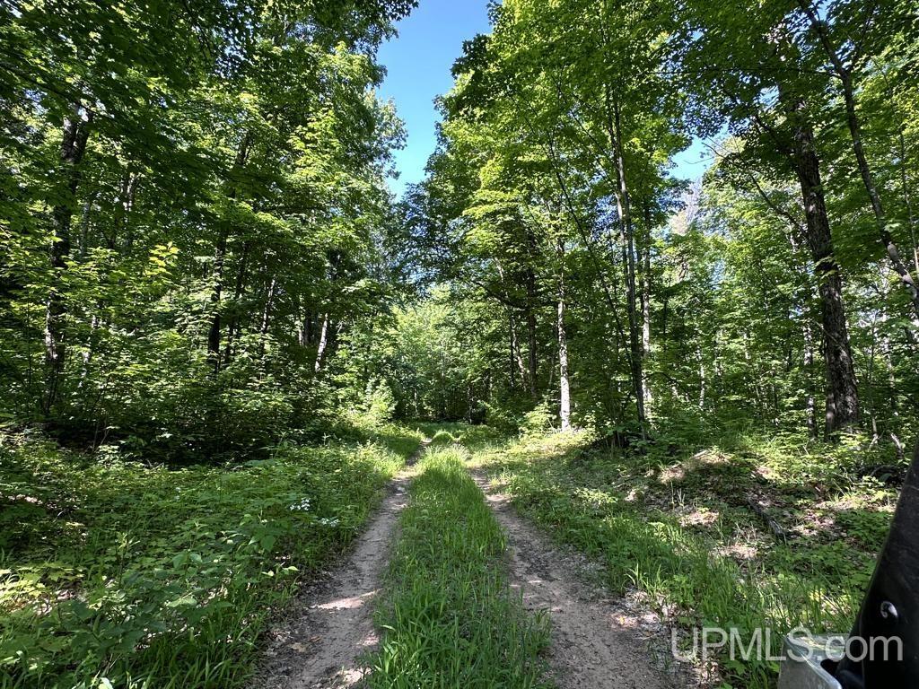 0 County Road 553 Road Marquette, MI 49855 - Photo 24 of 38