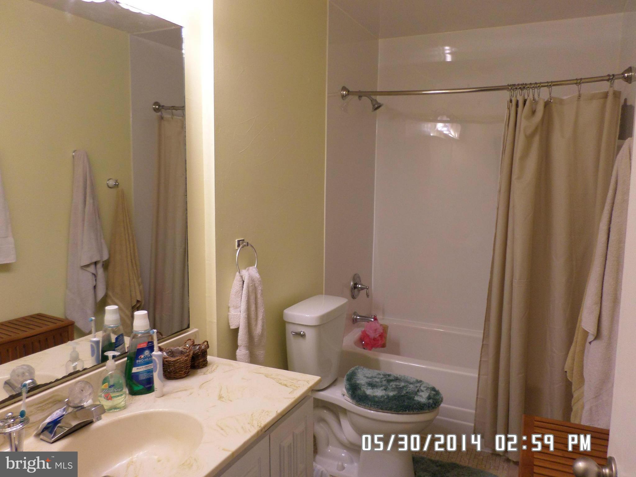 307 Happy Creek Road Locust Grove, VA 22508 - Photo 14 of 18 hallbath