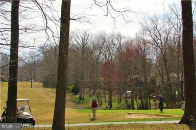 307 Happy Creek Road Locust Grove, VA 22508 - Photo 17 of 18 golf course in the community