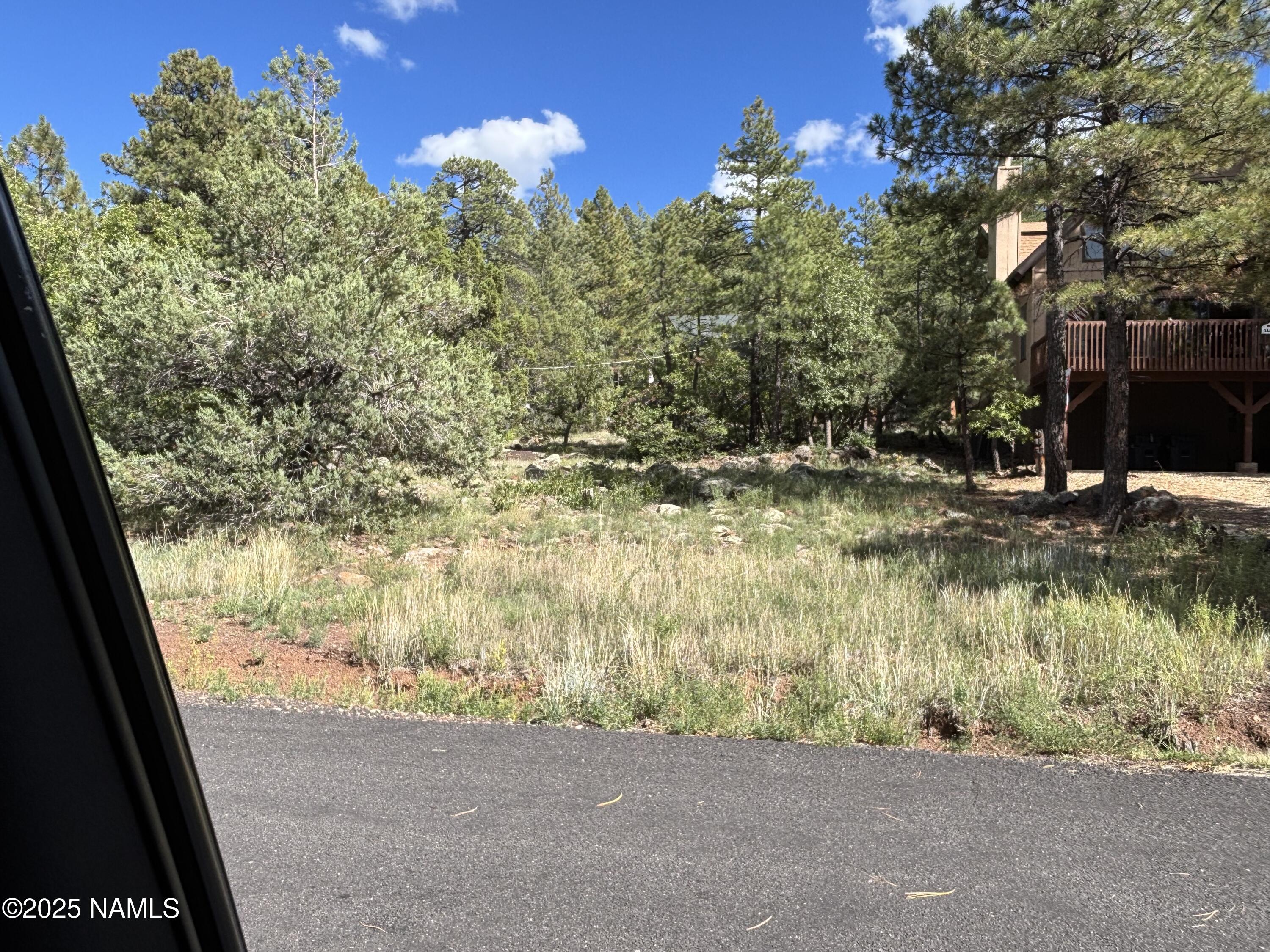 17615 Mustang Road Munds Park, AZ 86017 - Photo 2 of 4 a view of a yard