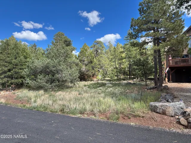 a view of a lake with a yard