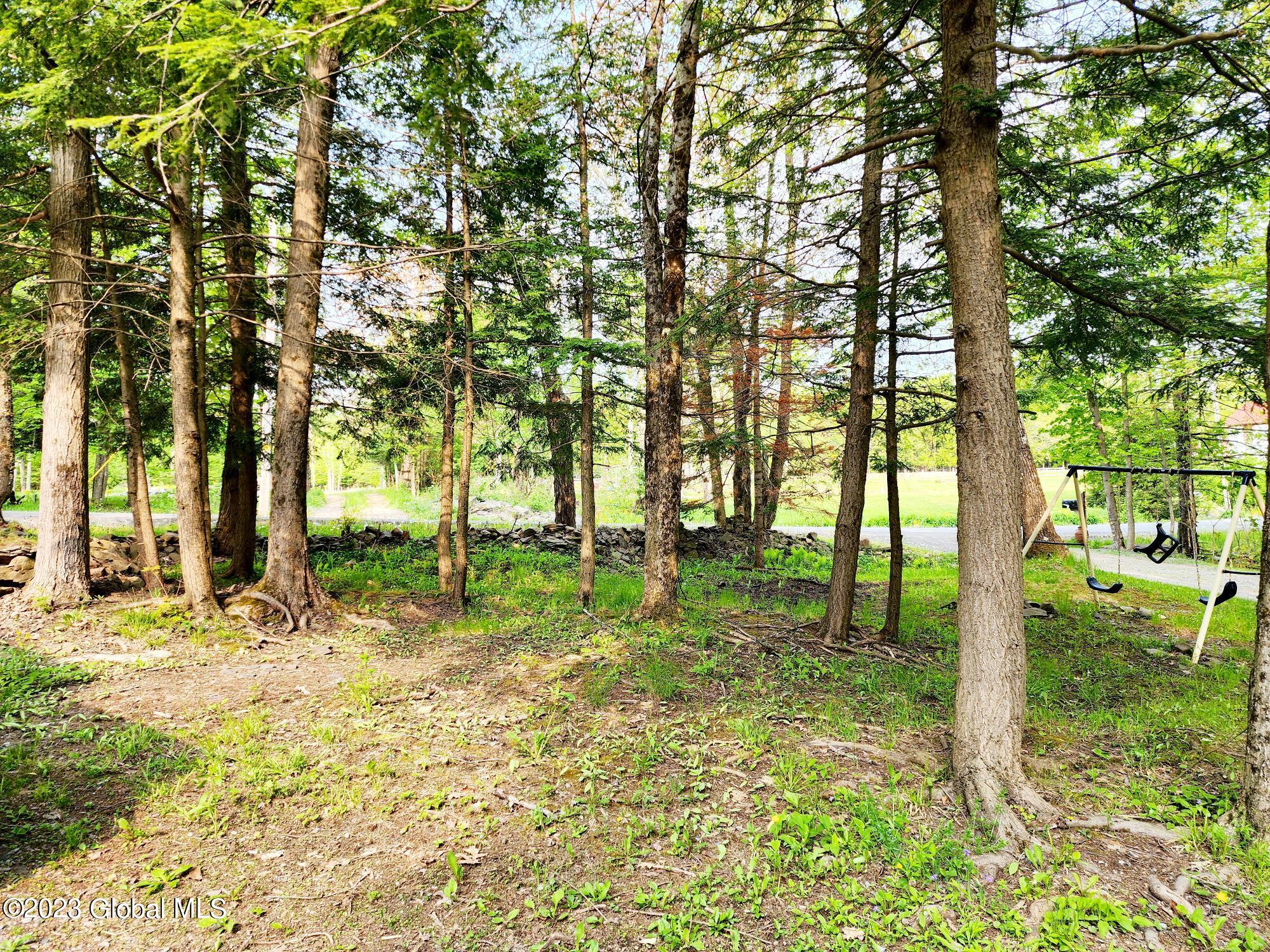 452 Zach Hill Road Broome, NY 12122 - Photo 14 of 19 20230524_090322