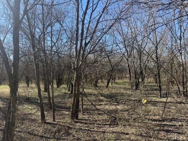 17808 County Road 656 Farmersville, TX 75442 - Photo 1 of 1 a view of covered with trees