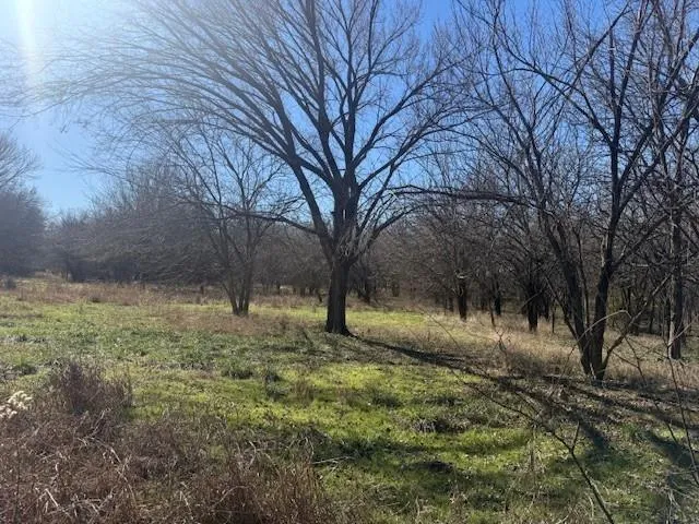$119,000 | 17808 County Road 656, Farmersville, TX 75442