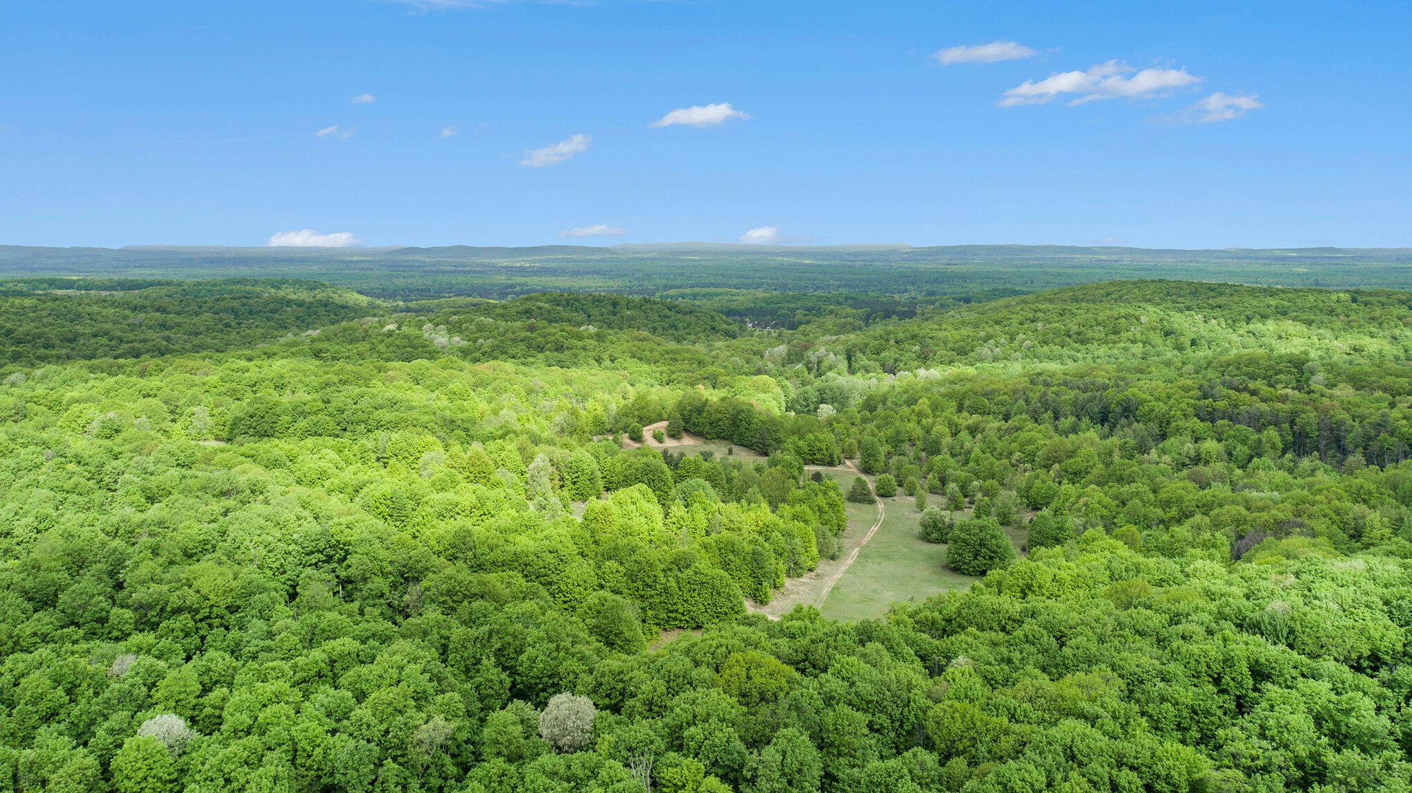 Vl Lindy Road Copemish, MI 49625 - Photo 24 of 25 024_dji_0019-2