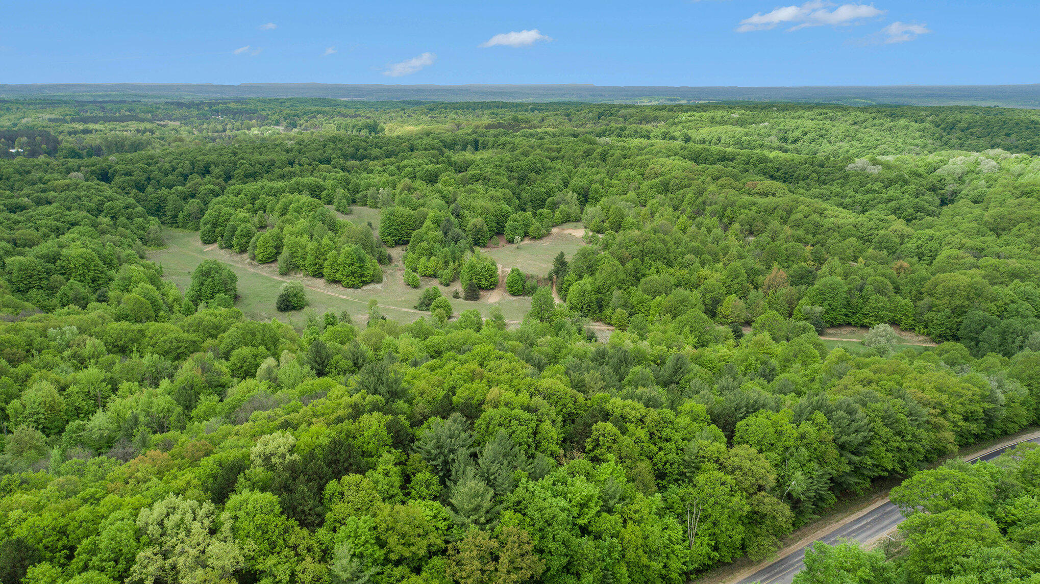 Vl Lindy Road Copemish, MI 49625 - Photo 25 of 25 025_dji_0028-2