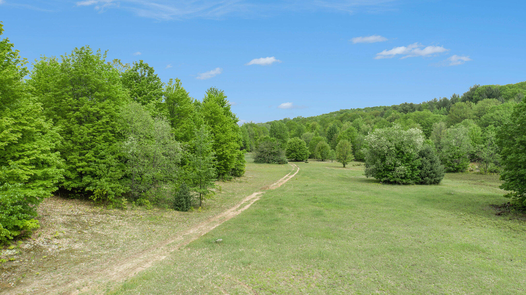 Vl Lindy Road Copemish, MI 49625 - Photo 3 of 25 016_dji_0032-2
