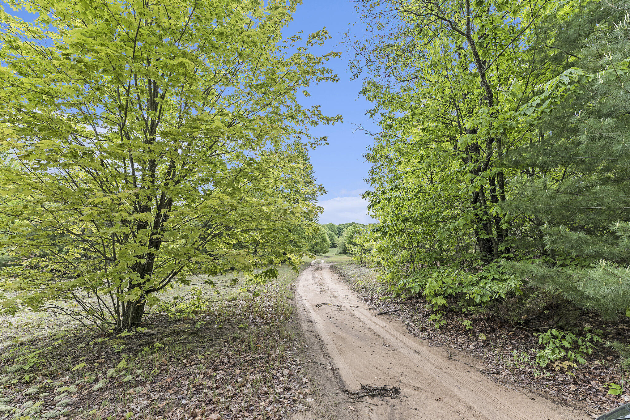 Vl Lindy Road Copemish, MI 49625 - Photo 4 of 25 004_p1019063