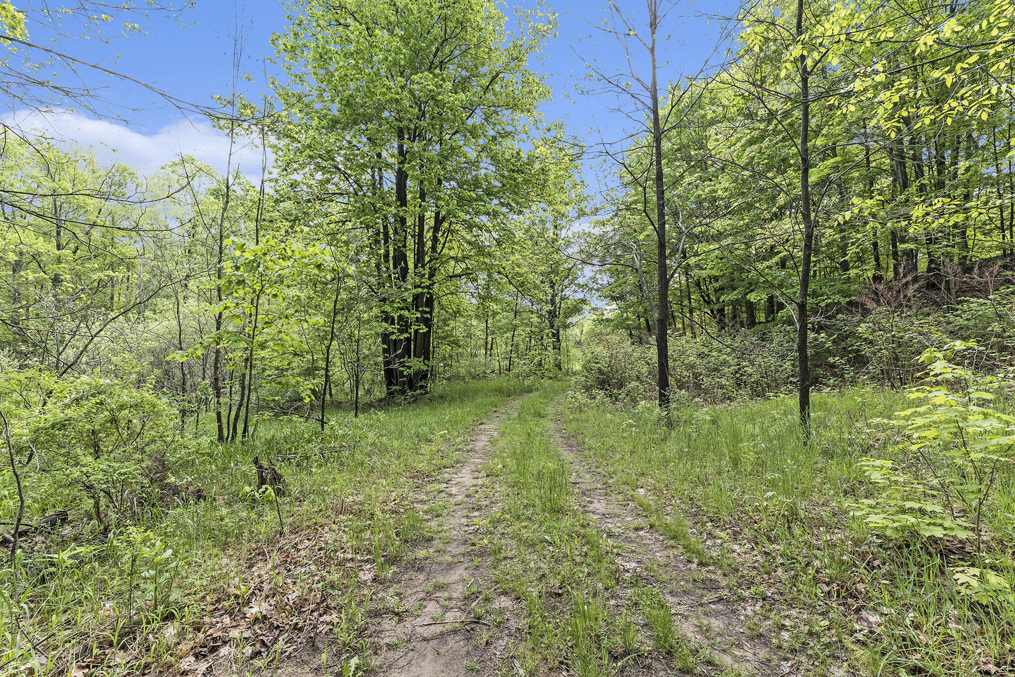 Vl Lindy Road Copemish, MI 49625 - Photo 5 of 25 001_p1019072