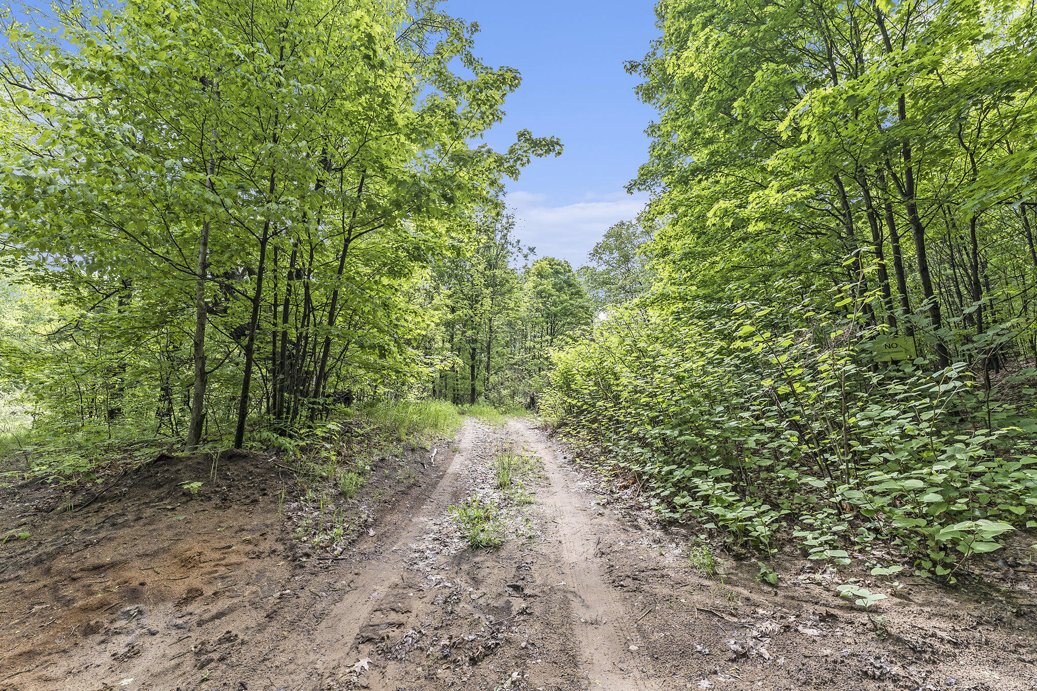 Vl Lindy Road Copemish, MI 49625 - Photo 6 of 25 002_p1019075
