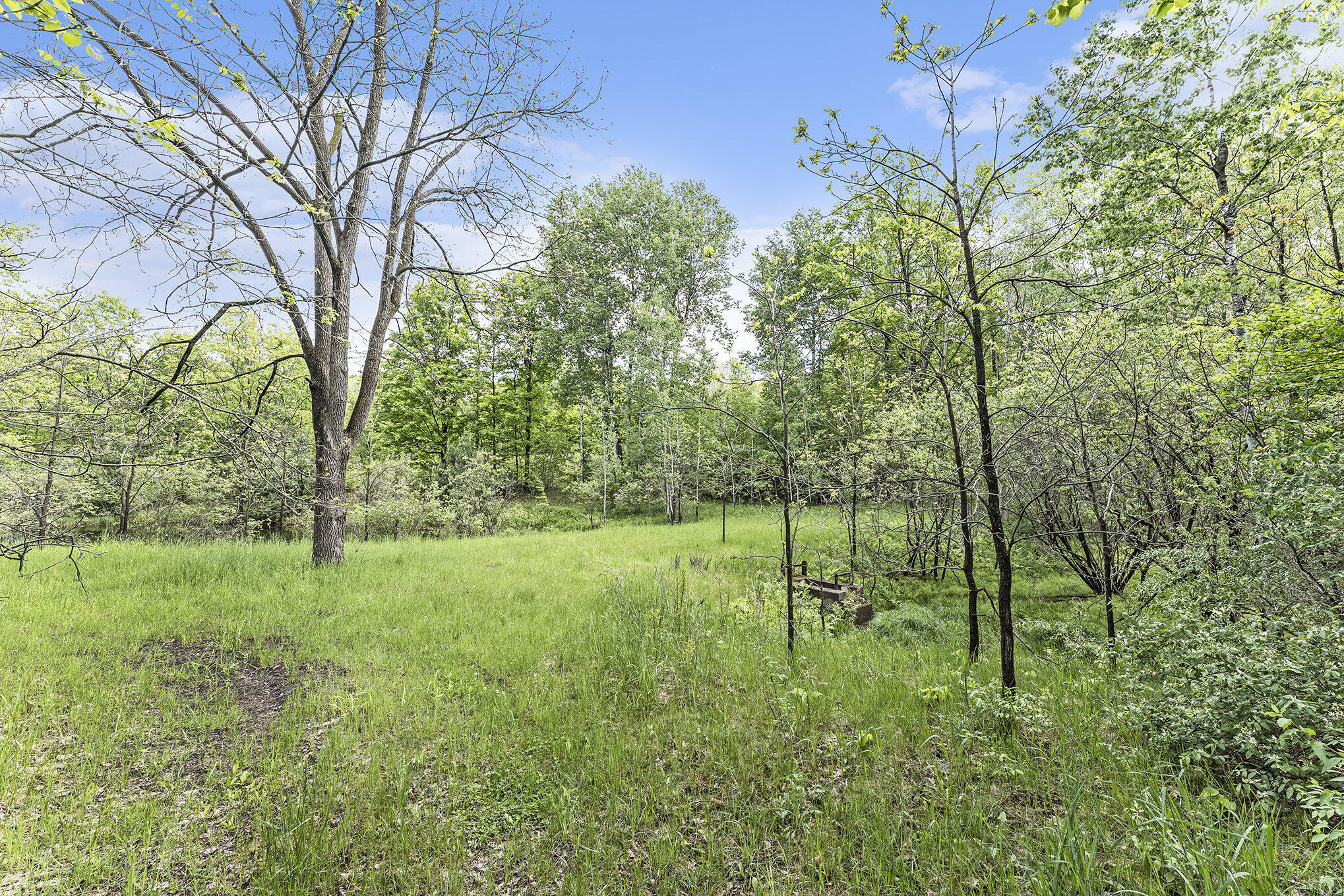 Vl Lindy Road Copemish, MI 49625 - Photo 9 of 25 008_p1019071