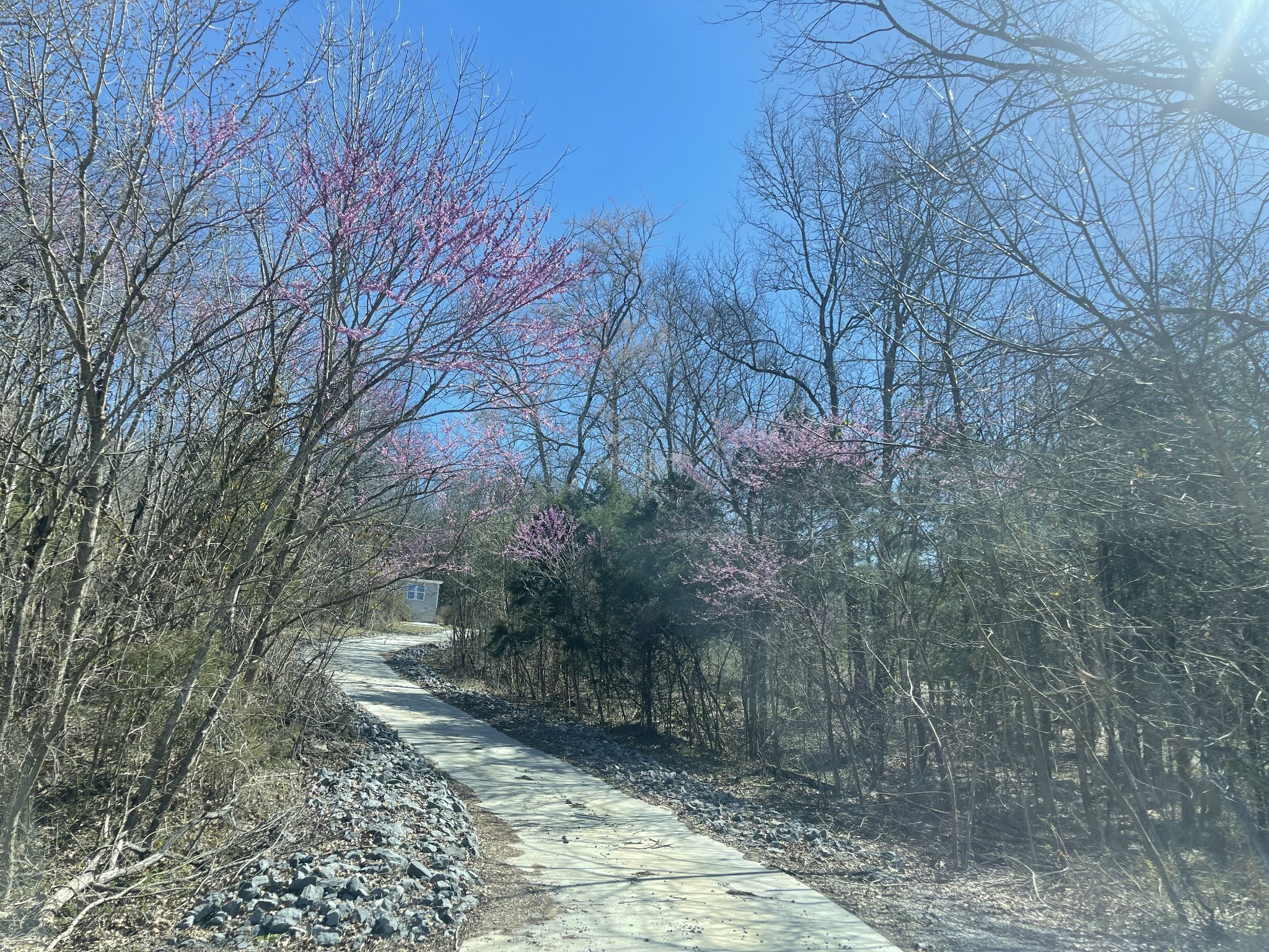 398 Hiwassee Road Lebanon, TN 37087 - Photo 3 of 13