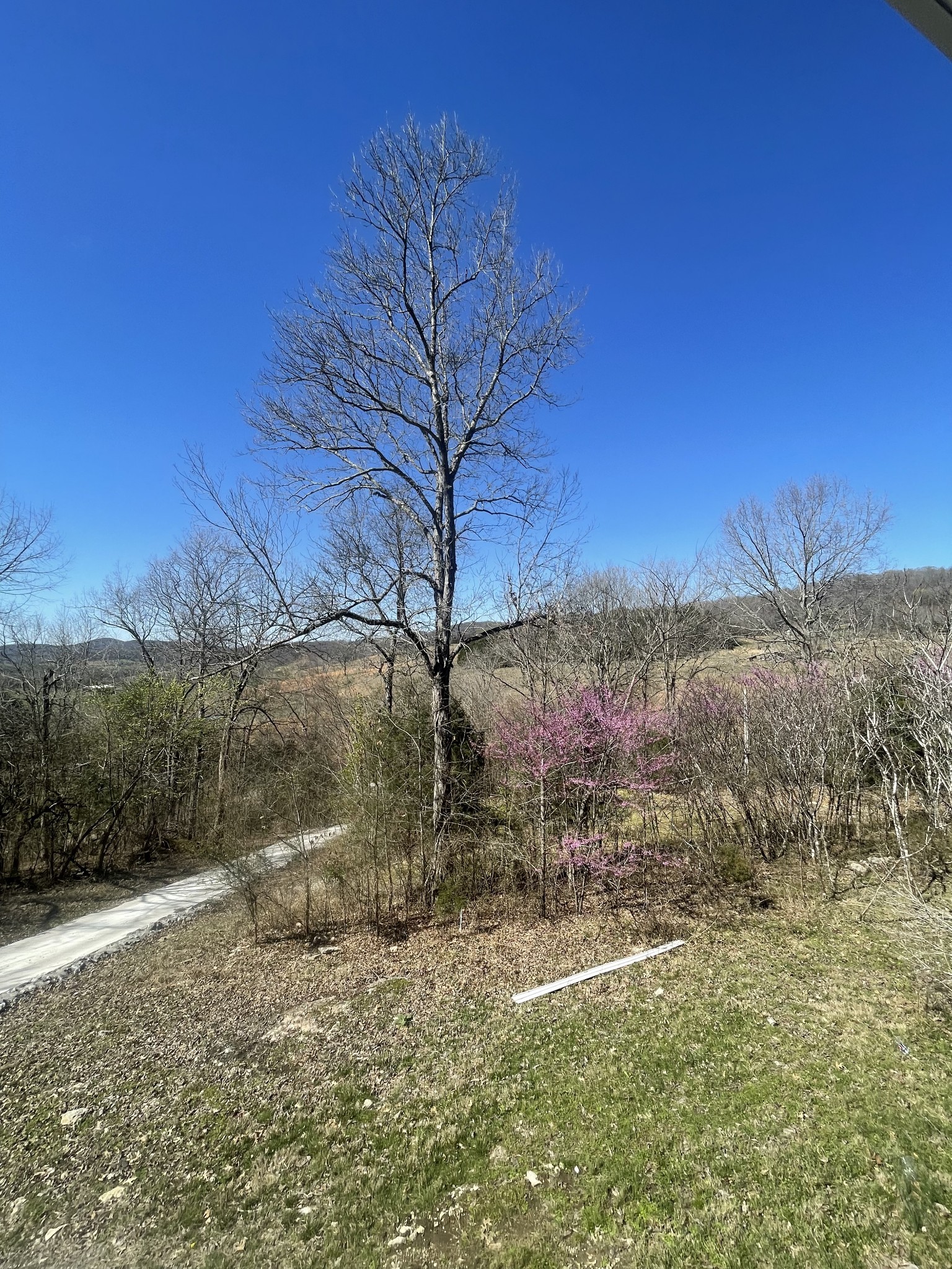 398 Hiwassee Road Lebanon, TN 37087 - Photo 4 of 13