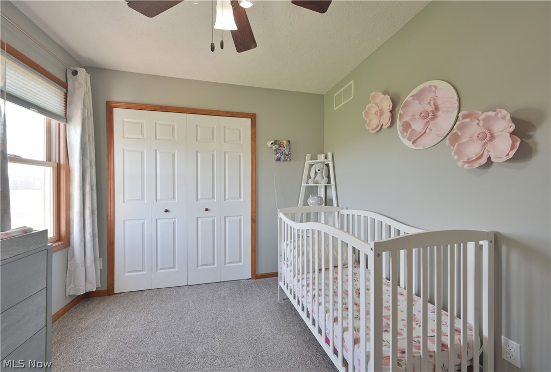 17327 Wheeler Road Lagrange, OH 44050 - Photo 34 of 45
