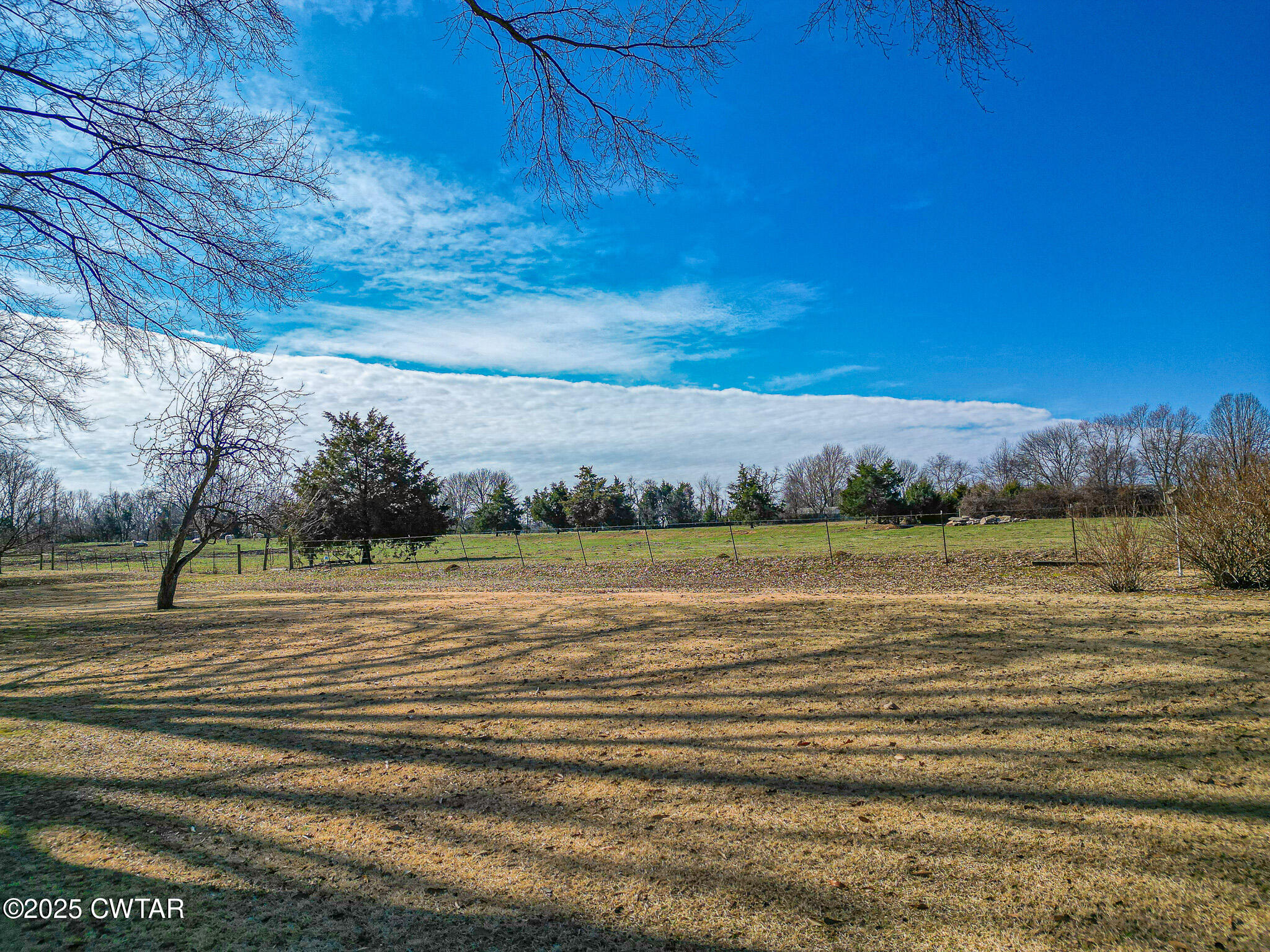 322 Cypress Road Alamo, TN 38001 - Photo 24 of 24 IMG_6179