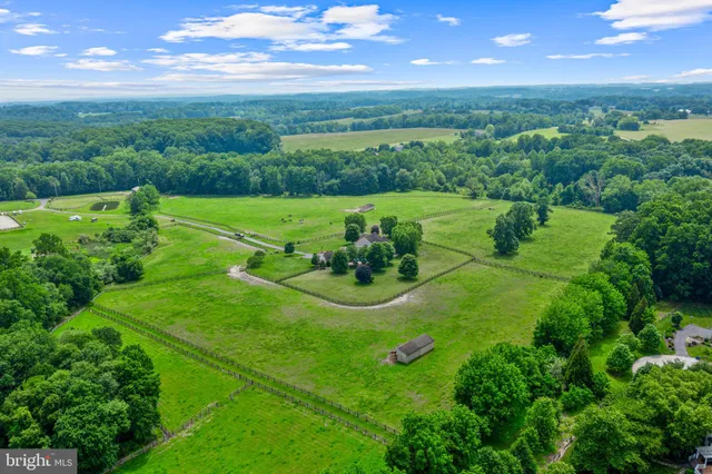 a view of a garden with trees