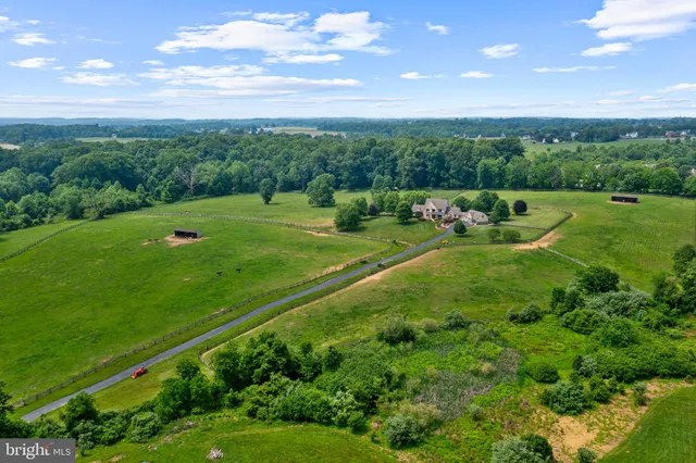 a view of a big yard with a big yard and potted plants