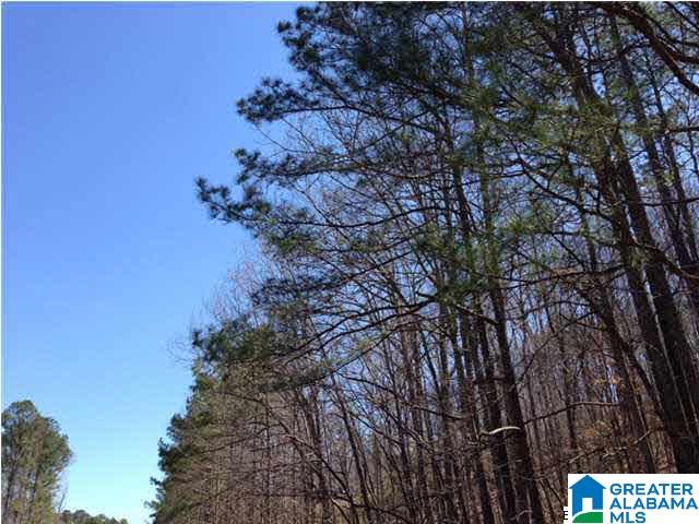 0 Woolfolk Road, Unit 3 ACRES Munford, AL 36268 - Photo 7 of 24