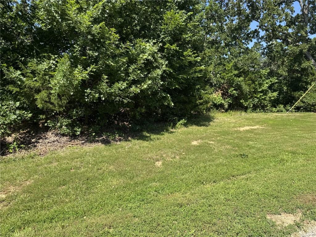 Lot 66 Southeast 591st Road Warrensburg, MO 64093 - Photo 3 of 11
