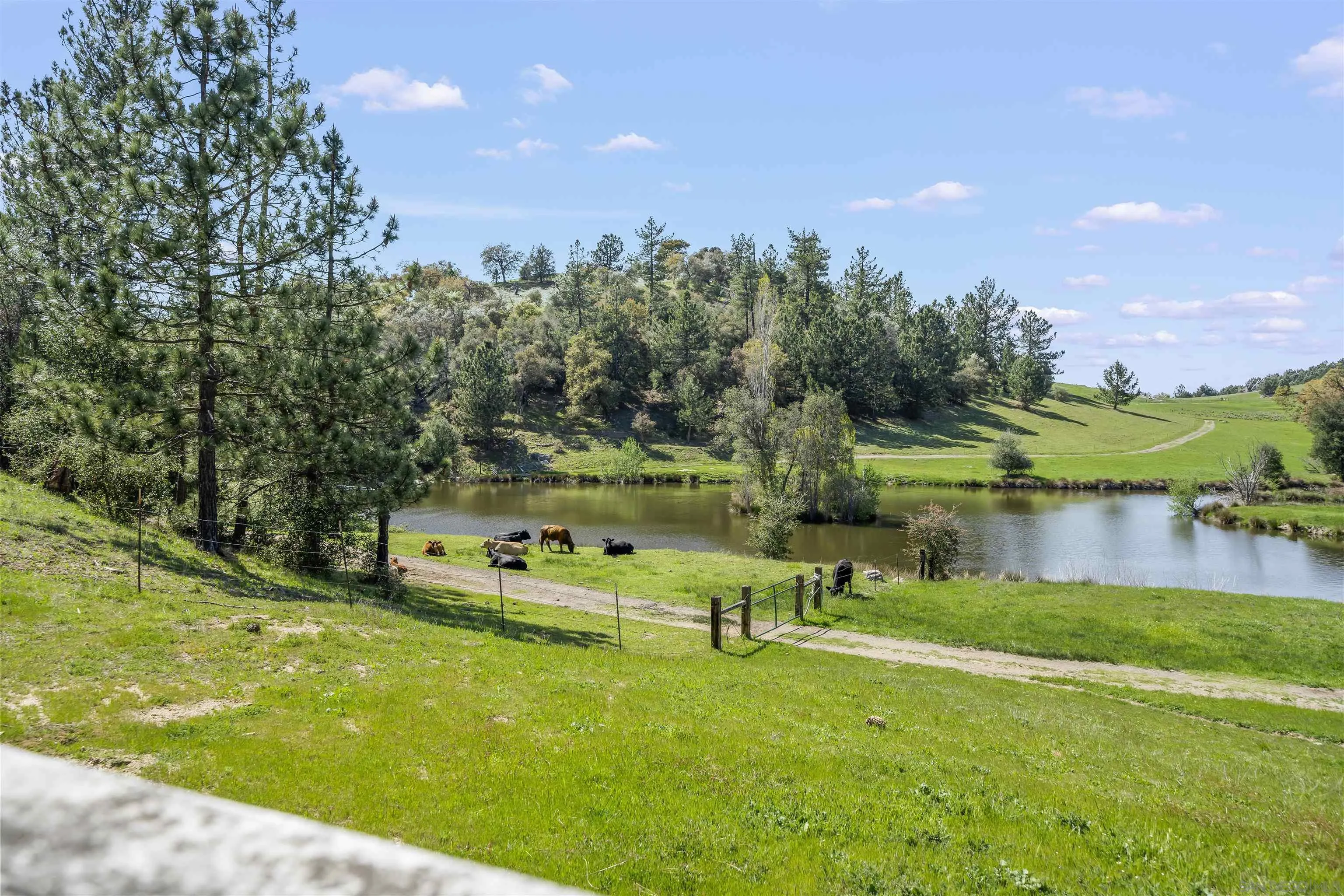 2464 Wynola Road Julian, CA 92036 - Photo 48 of 50 a view of a lake with houses in the back